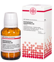 CAULOPHYLLUM THALICTROIDES D 4 Tabletten