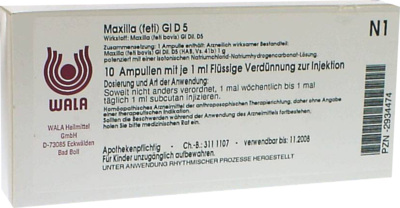 MAXILLA feti GL D 5 Ampullen