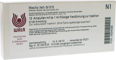 MAXILLA feti GL D 15 Ampullen