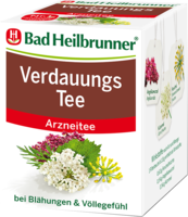 BAD HEILBRUNNER Verdauungstee Filterbeutel