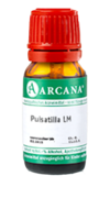 PULSATILLA LM 120 Dilution