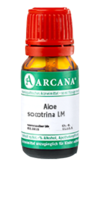 ALOE SOCOTRINA LM 28 Dilution